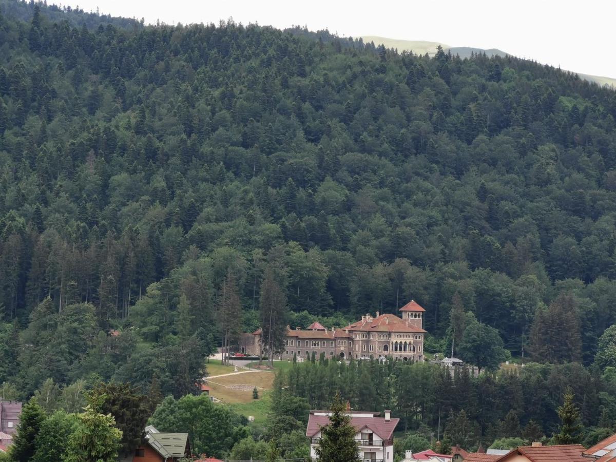 Hotel Iri Buşteni Eksteriør billede